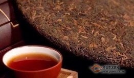 普洱今日爆料,揭秘神秘事件背后的真相