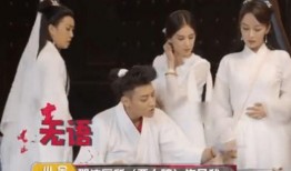 圈内爆料杨紫黄子韬视频,幕后真相引热议