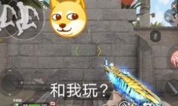 巴西老哥手游爆料视频,揭秘热门游戏幕后秘密与精彩瞬间
