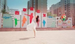 南阳学校爆料视频播放,揭秘校园内幕