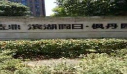 枫丹科学园爆料了吗最新消息,神秘项目引发热议