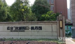 枫丹科学园爆料了吗最新消息,神秘项目引发热议