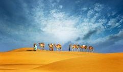 最新沙漠爆料新闻报道图片