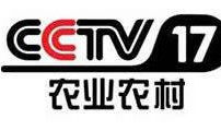 cctv八在线直播观看,精彩剧集不间断，尽享视听盛宴