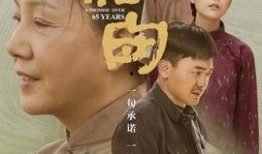 南瓜爆料演员表介绍视频,揭秘热门剧集演员阵容，精彩阵容引期待