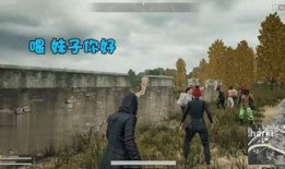 山西介休最新事件爆料,揭秘背后真相与影响