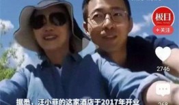 南澳爆料大叔视频大全集,揭秘南澳风云，视频大全集深度解析