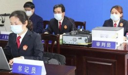 芜湖杨峰爆料事件视频,真相与争议的交织