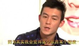 陈冠希爆料娱乐圈内幕,真相与谎言的交织