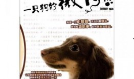 狗狗博客在线观看,在线观看，解锁萌宠生活新篇章