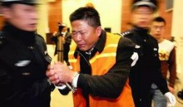 南京爆料醉驾案件最新,悲剧重演，警方严查酒驾再敲警钟