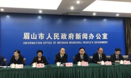 眉山市新闻爆料电话,倾听民声，守护城市平安的桥梁