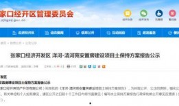 清河爆料最新消息,最新热点事件深度解析