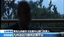 惊天大案爆料视频完整版,视频完整版深度解析