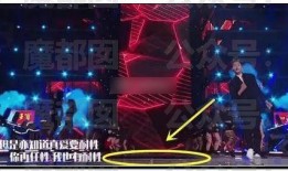 好声音爆料完整视频大全,揭秘选手幕后故事与精彩瞬间