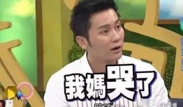 左伟爆料李晨视频,真相与争议并存