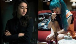 黑客爆料警花视频,黑客揭秘惊人内幕