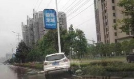 小沙埠最新大爆料