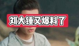 娱乐圈最新爆料罗大锤是谁,娱乐圈新晋神秘人物，身份之谜引热议