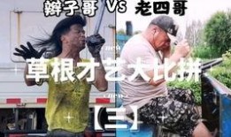 网红吃瓜糗事小说,揭秘娱乐圈背后的酸甜苦辣