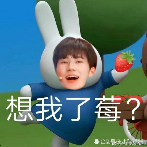 娱乐吃瓜酱男孩发表情包